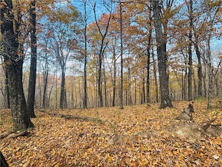 TBD Madison 4476 Rd, Elkins, AR 72727