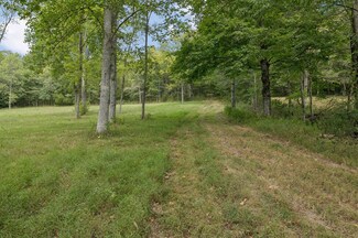 46.19 Ac Funn Branch Rd, Gainesboro, TN 38562
