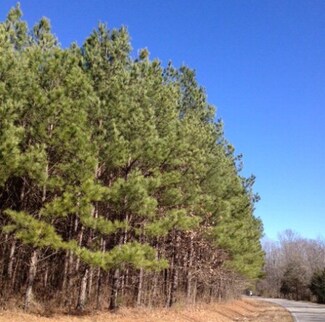 000 Mississippi 328, Taylor, MS 38673