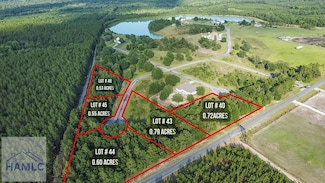 11 Boardwalk Ave, Jesup, GA 31545