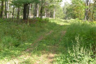 Off Selleck Rd, Canton, NY 13617