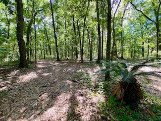 0 Yellow House Place Unit Lot 4 24024478, Cainhoy, SC 29492