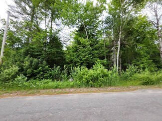 Lot 003 Rice Farm Rd, Long A Township, ME 04462