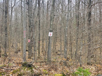 Lot 8 Daigneau Trail, Franklin, NY 12989