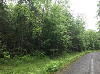 TBD Richards Ln, Abbot, ME 04406