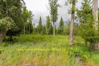 600 Blk Greenhouse Rd, Ione, WA 99139