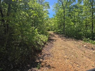 TR 48,49&50 Trail Ridge Rd, Albion, OK 74571