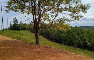 2556 Oakland Rd, Clinton, AR 72031