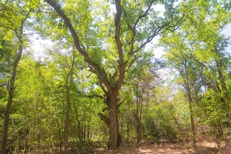 0 Hwy 6 S Unit 24045233, Calvert, TX 77837