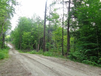 66 Aspen Ln, Danbury, NH 03230