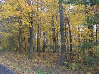 Parcel 2 66th 135th St, Saugatuck, MI 49453
