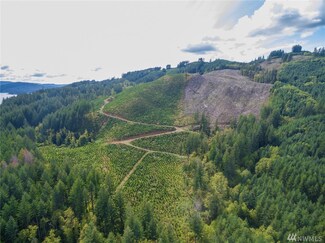 0 Lewis River Rd Unit 1366276, Cougar, WA 98616