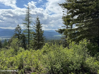 397 Upriver View Dr, Fernwood, ID 83830