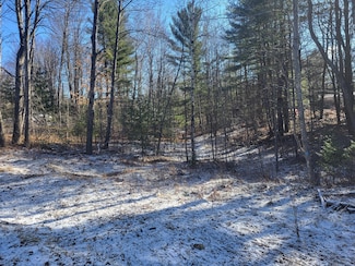 64 Pine Grove Rd, Hayes Township, MI 49735