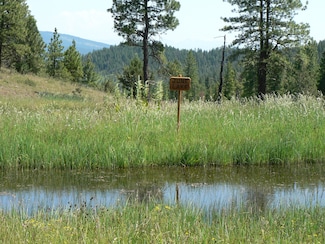 0 Tbd National Forest Dev Rd Unit 1170 11066643, Sumpter, OR 97877