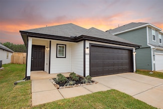 13629 Goldeye Dr, Shenandoah, TX 77384