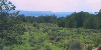 Tract 23 Choctaw Ct, Pie Town, NM 87827