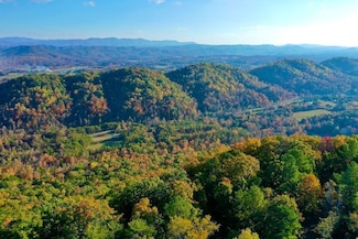0 Laurel Creek Rd Unit LotWP001 19850625, Tellico Plains, TN 37385
