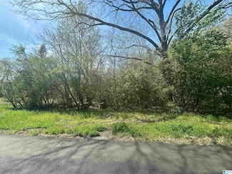 510 Butler Ave Unit 14, Bessemer, AL 35020