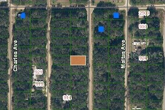 0 Annette Ave Unit MFROM696757, Interlachen, FL 32148