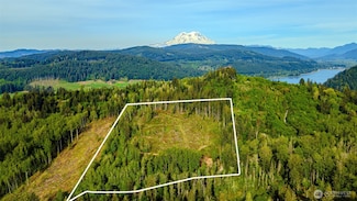 52509 127th Ave E, Alder, WA 98328