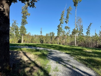 7900 Brooksie Thompson Rd, Bath Springs, TN 38311