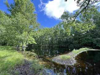25 Mccrory Rd, Saint Joseph, TN 38481