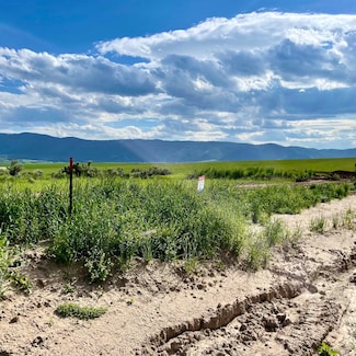 TBD Lakey Loop Lot 26, Soda Springs, ID 83276