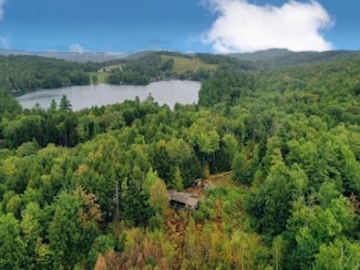 106 Kemp Rd, Croydon, NH 03773