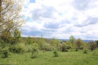 5360 Stemple Ridge Rd, Aurora, WV 26705