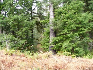 999 Hoko - Ozette Rd, Clallam Bay, WA 98326
