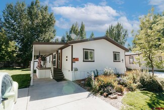 901 6530 Rd Unit 1003, Montrose, CO 81401