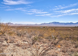 TBD W Bo Ma Trail Unit 180, San Simon, AZ 85632