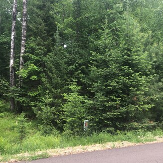 Lot 10 Woodland Dr, Plum Lake, WI 54560