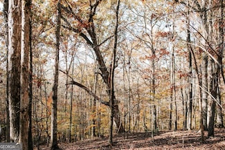 0 Greensboro Rd Unit 10649352, Crawfordville, GA 30631