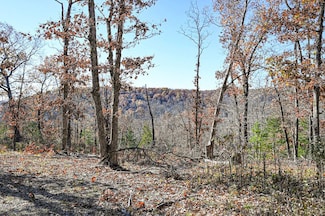 000 Swinging Bridges Rd, Brumley, MO 65017