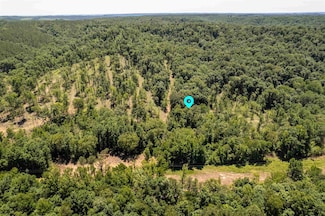 Tract 4 County Road 126, Waterloo, AL 35677