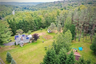 669 Shandelee Rd, Livingston Manor, NY 12758