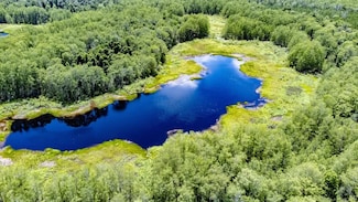 XX1 Ham Pond Rd, Sneads, FL 32460
