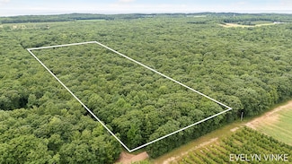 V/L W Woodrow Rd, Shelby, MI 49455
