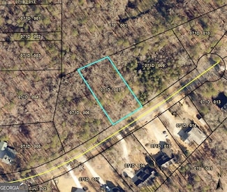 113 Peninsula Point, Martin, GA 30557