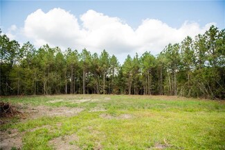 28885 Old Cc Rd, Albany, LA 70711