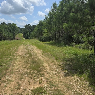 TBD Hammond Rd, Livingston, TX 77351