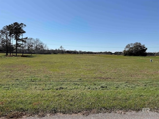 0 Gopher Ct Unit 8 375563, Elberta, AL 36530