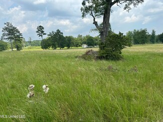 0 Perkinston Silver Run Rd Unit 4080477, Perkinston, MS 39573