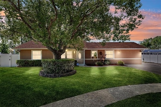 506 Spring Tree Ct, Tarpon Springs, FL 34689
