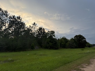 2.49 acres County Highway 147 W, Paxton, FL 32567