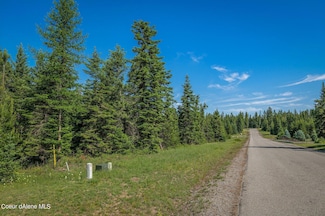 Lot 10 E Riley Loop, Athol, ID 83801