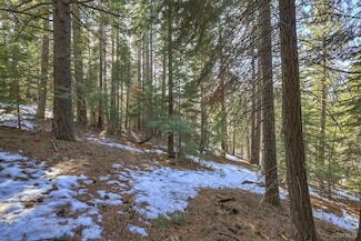 1607 Southern Pines Dr, South Lake Tahoe, CA 96150