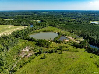 541 Wilson Rd, Vidalia, GA 30474